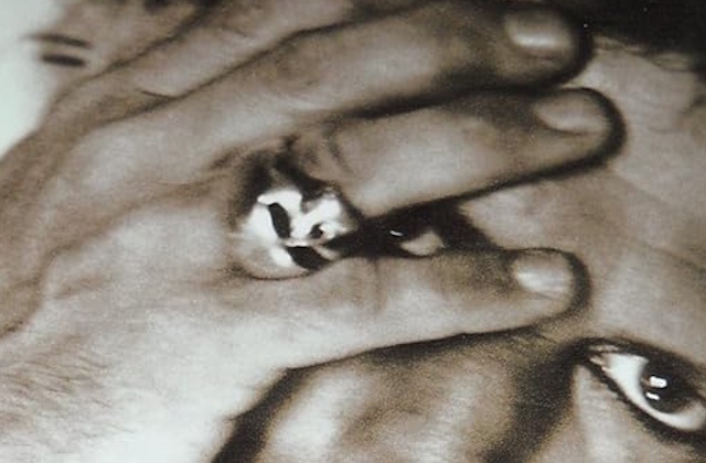 Life by Keith Richards book cover detail